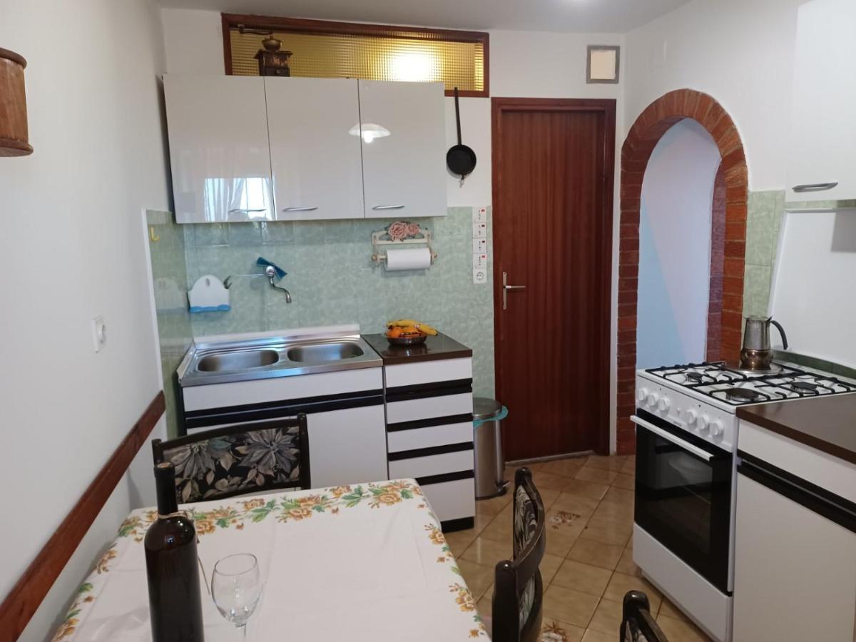 Apartment Viktor I Silvana *